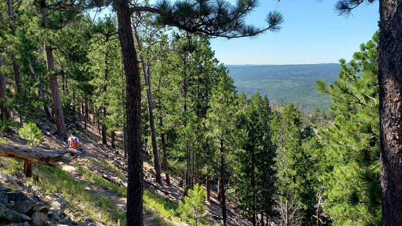Crow Peak Trail #64