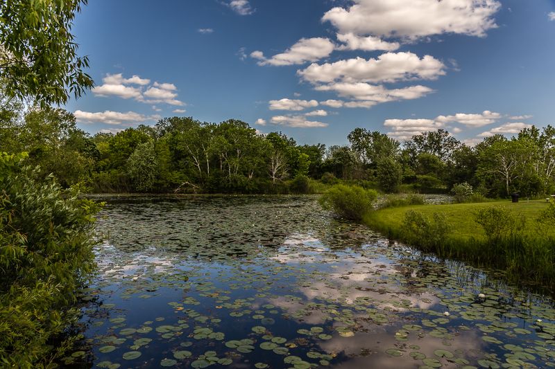 Grant Woods Forest Preserve, Ingleside