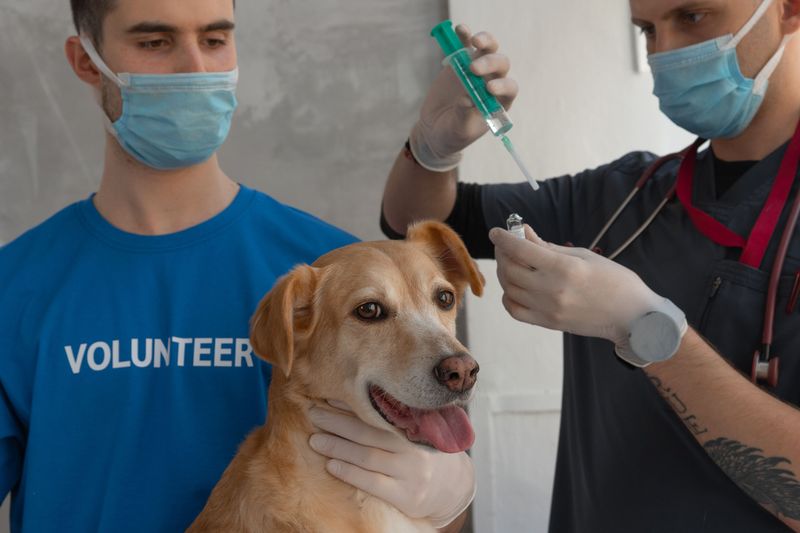 Rabies Vaccination Is Legally Required