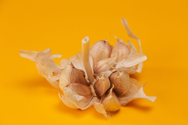 Garlic