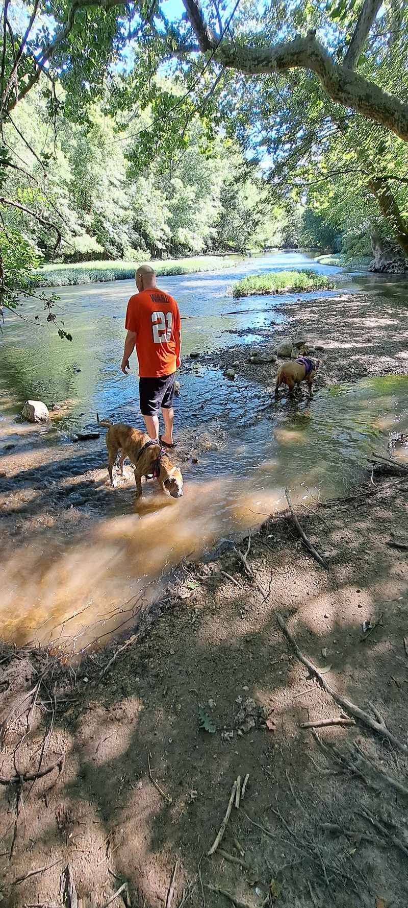 Pleasant Valley Area Dog Swimming Lake at Battelle Darby Creek - Galloway