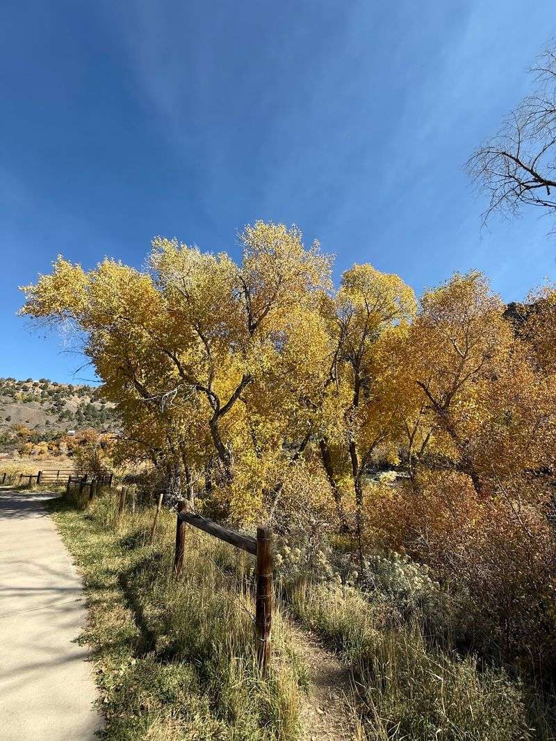Durango: Seven Paved Miles Along the Animas
