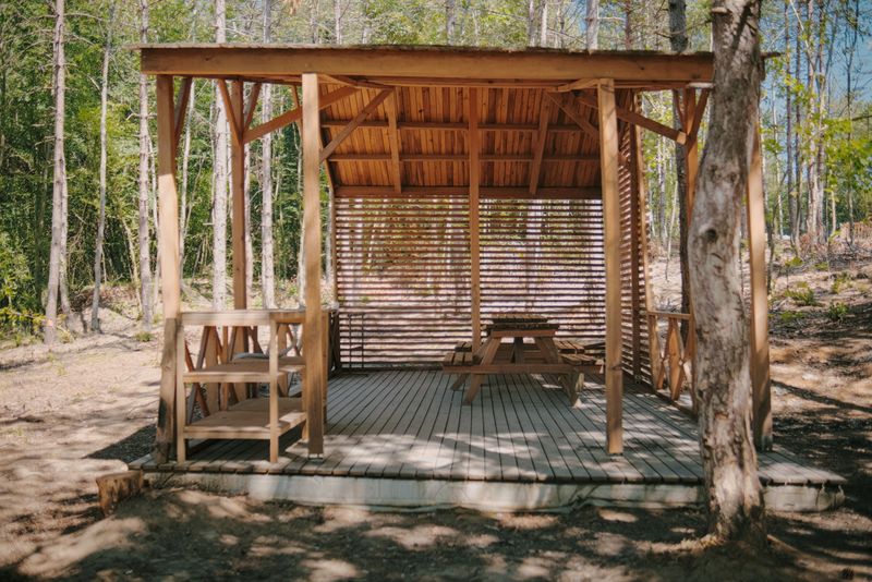 Shade Is Not Optional in Summer