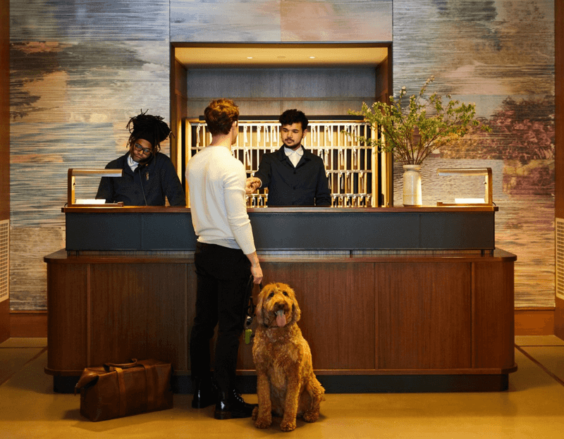 Moving With a Dog Can Mean Extra Fees
