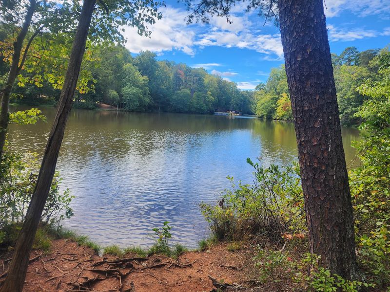 Paris Mountain's Shady Forest Loops