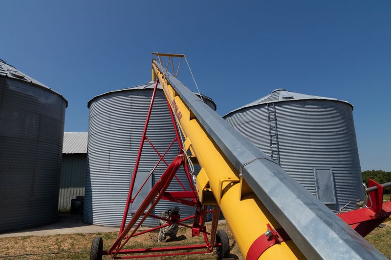 Augers, Belts, and Conveyors Stay Dog-Free