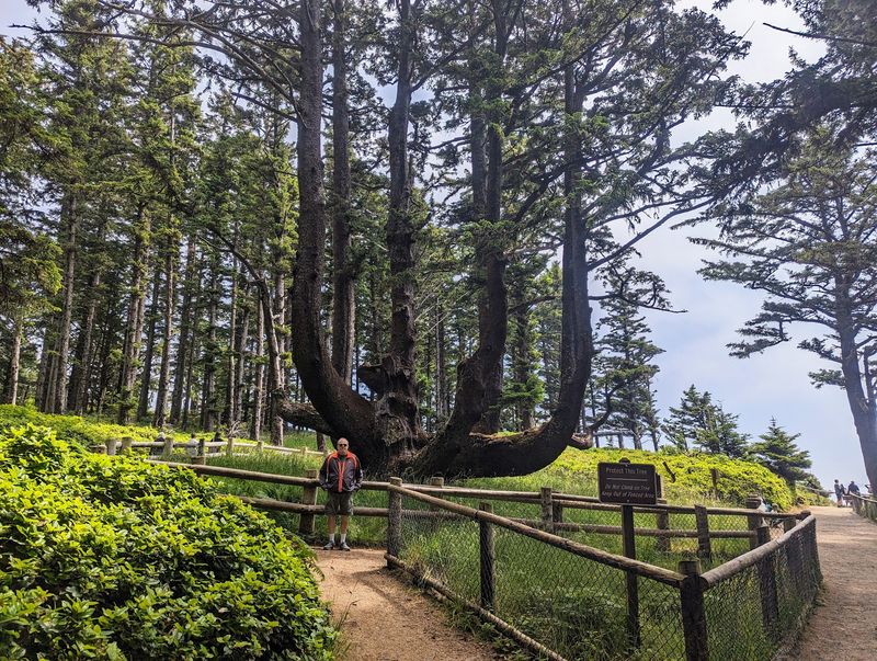 Trees to Sea Scenic Byway from Banks to Cape Meares