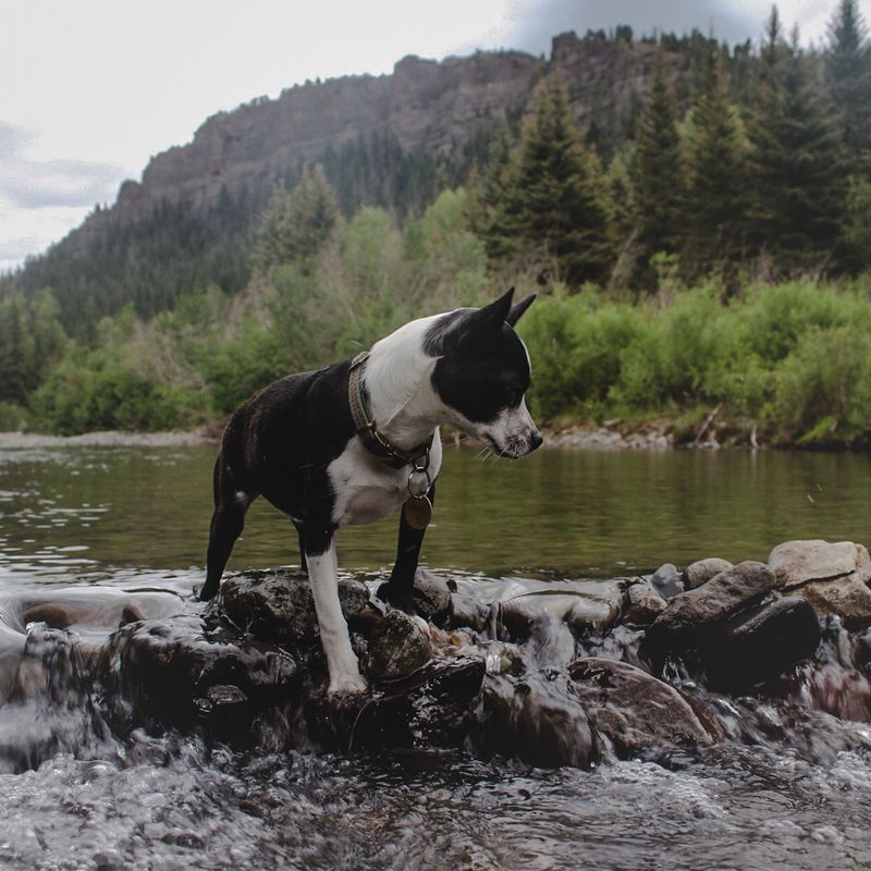 Mountain Streams Are Not a Water Plan
