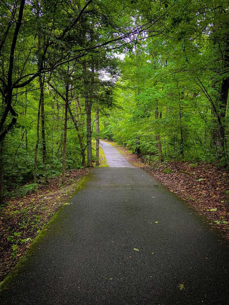 Choose A Trail That Fits Your Dog