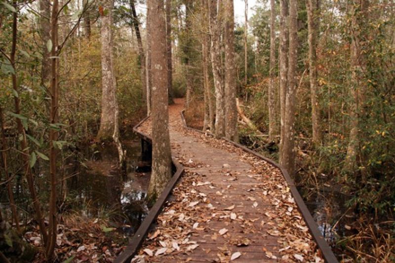 Big Thicket National Preserve
