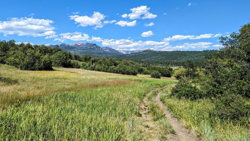 Turkey Springs and the Coyote Hill Loop