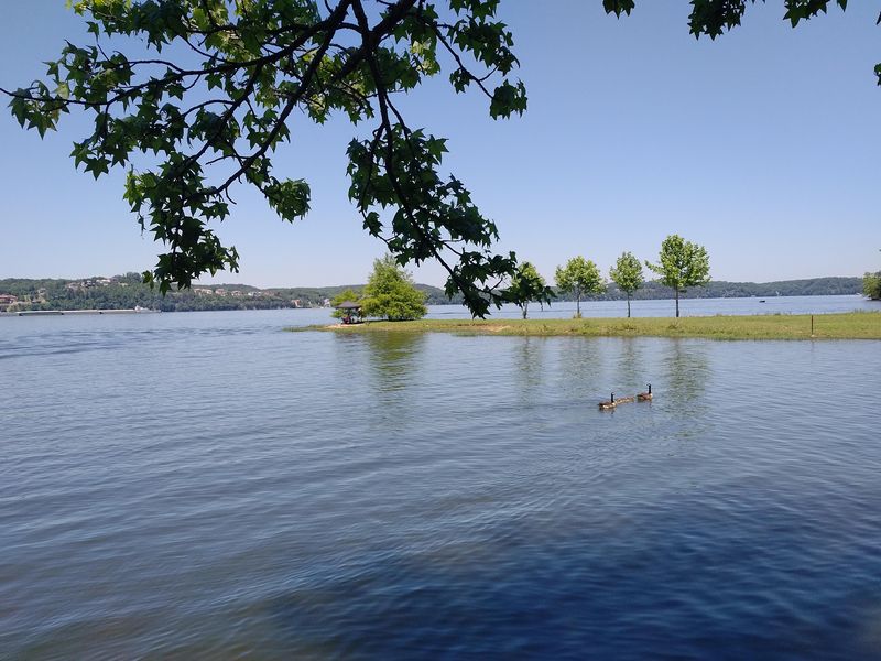 Pickwick Landing State Park, Counce