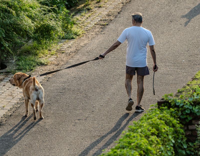 Your Everyday Walk Can Quietly Turn Into A Heat-Stress Workout