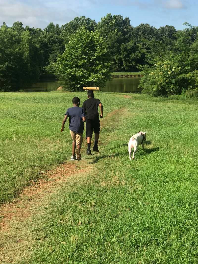 Memphis to Meeman-Shelby Forest