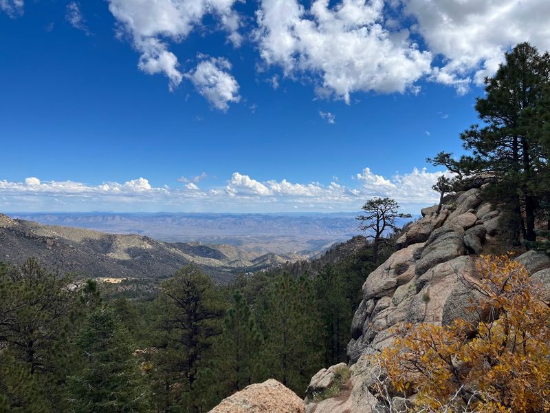 Kingman To Hualapai Mountain Park