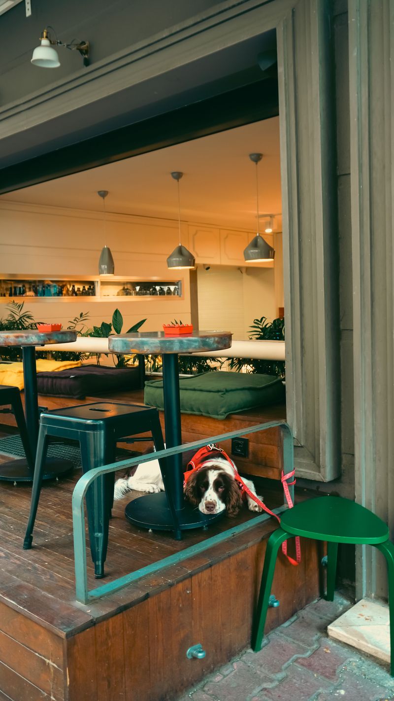 Patio Dining Has Clear Ground Rules