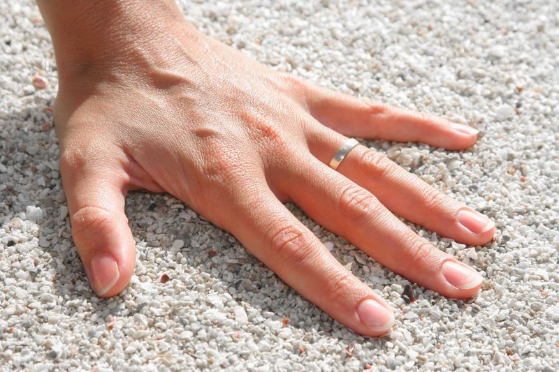 Test the Ground Before Your Dog Walks