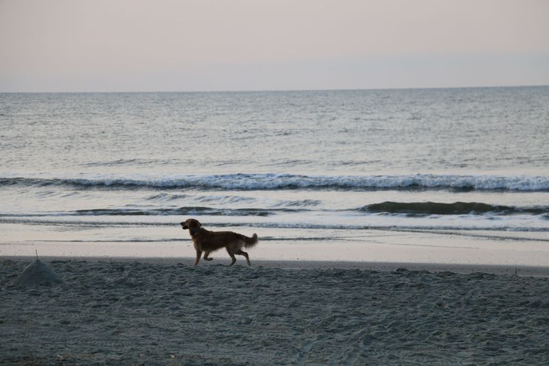 Coligny Beach Park