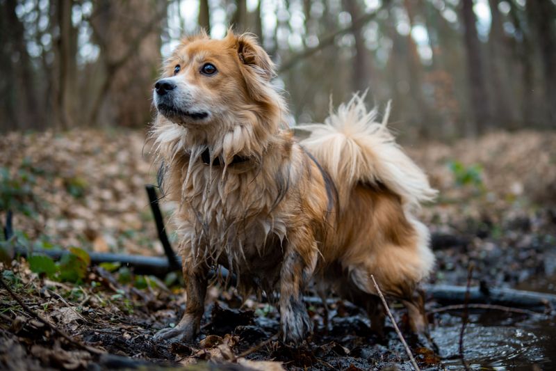 Mud Can Hide More Than Dirt