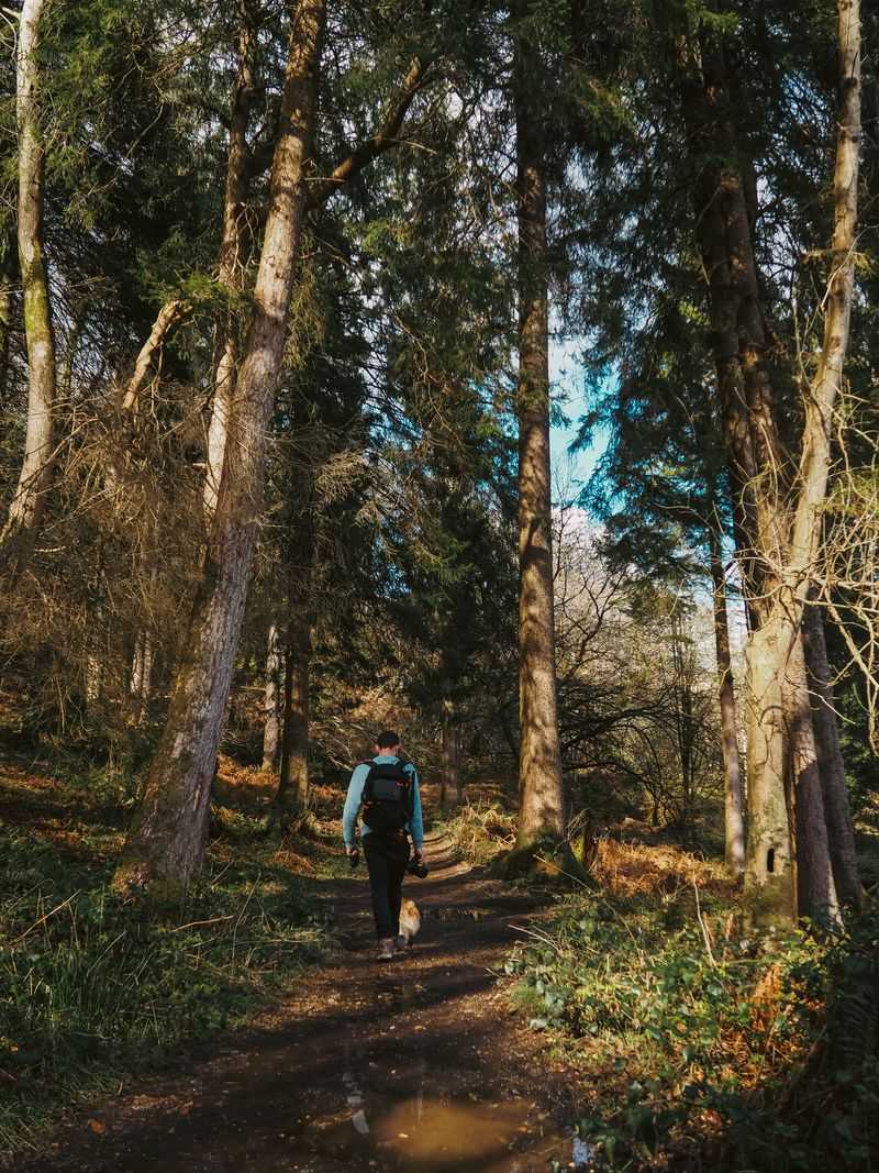 Walk The Middle Of The Path
