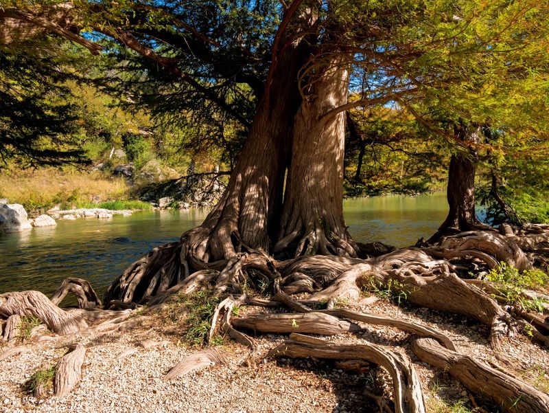Guadalupe River State Park, Spring Branch