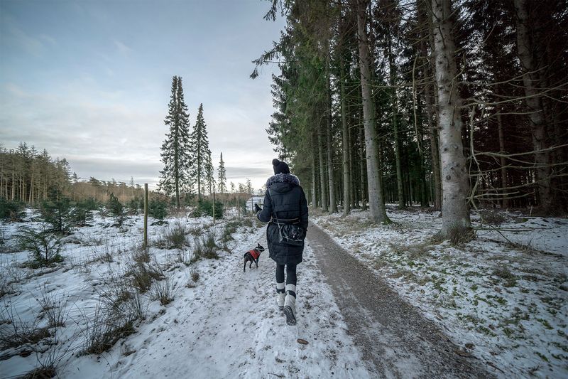 Cold Weather Does Not Cancel Tick Season