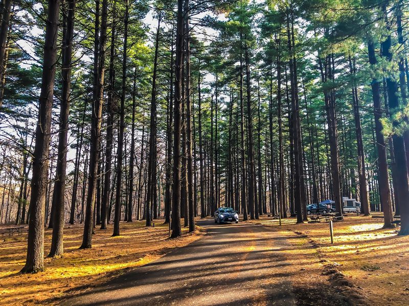 Siloam Springs State Park and Clayton