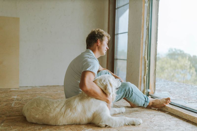 Landlords Can Still Address Real Damage or Safety Issues Caused by Assistance Animals