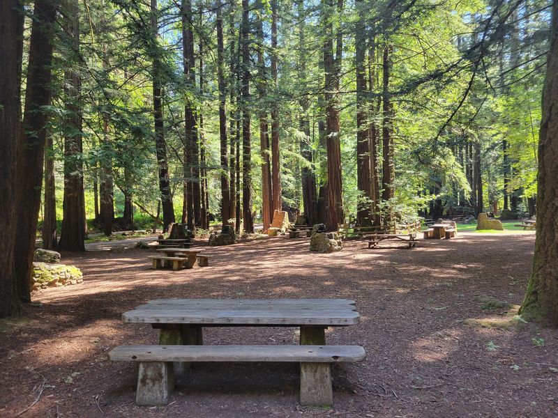 Samuel P. Taylor State Park