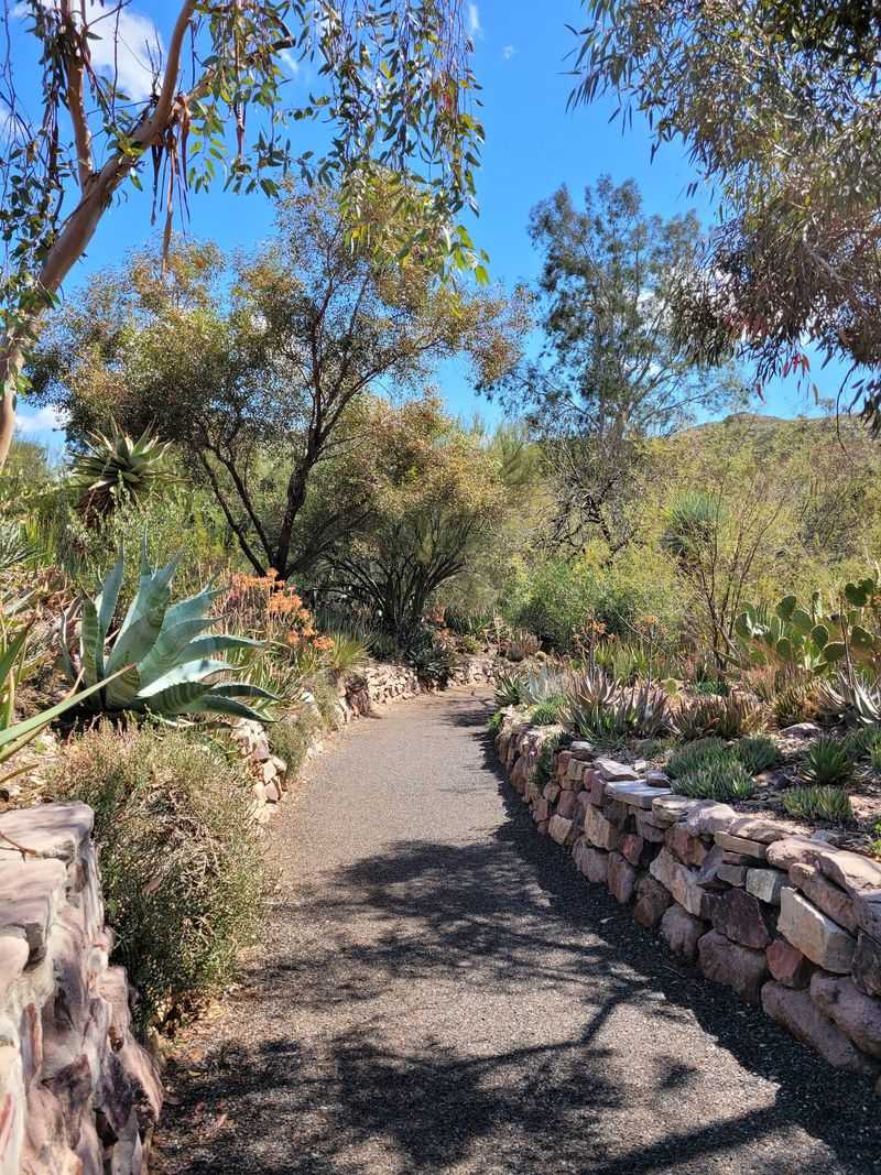 Phoenix To Superior And Boyce Thompson Arboretum