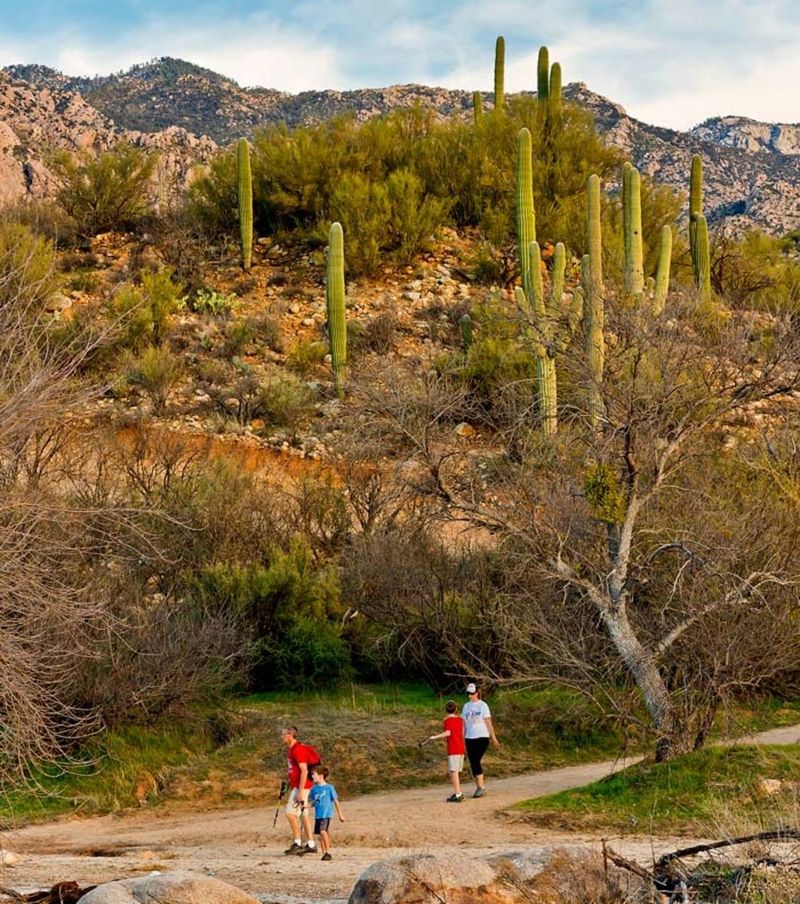 Tucson To Catalina State Park
