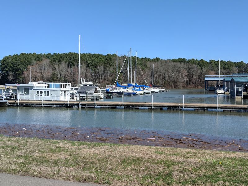 Paris Landing State Park, Buchanan