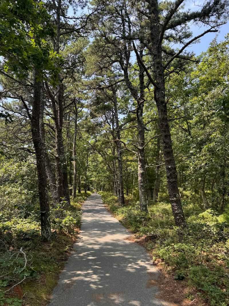 Manuel F. Correllus State Forest, Martha's Vineyard