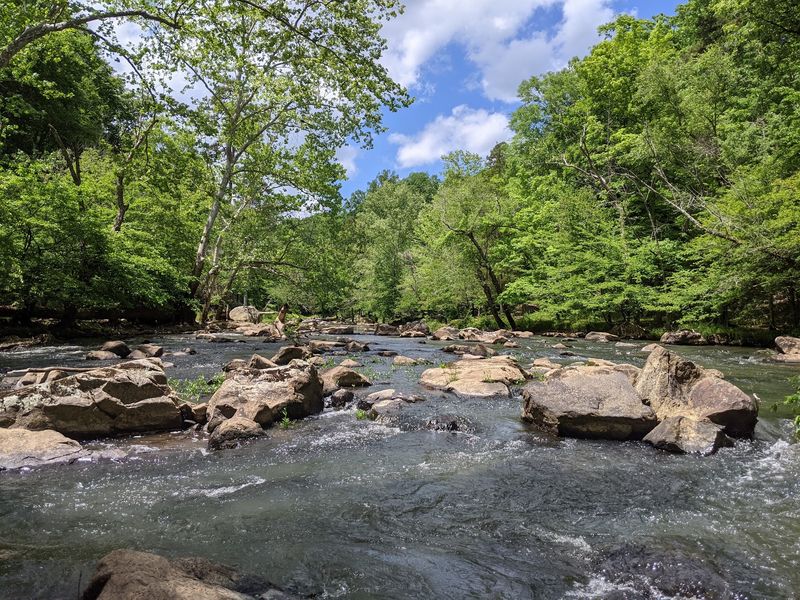 Eno River State Park Offers Forest Trails Close To Durham