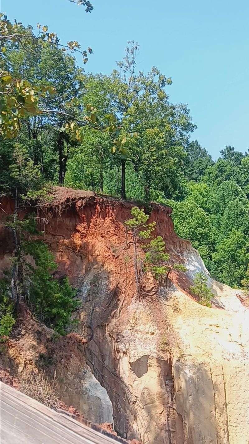 Canyon Floor Walk at Providence Canyon State Park