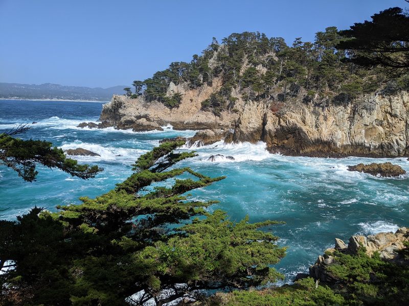Point Lobos State Natural Reserve