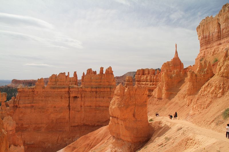 Understand Bryce Canyon National Park Pet Limits