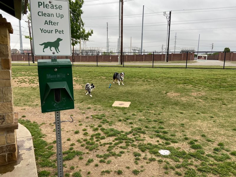 Frisco: The Star Treatment for Your Dog