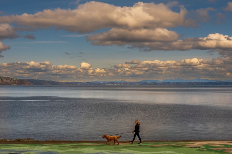 Explore Richmond Beach Saltwater Park in Shoreline