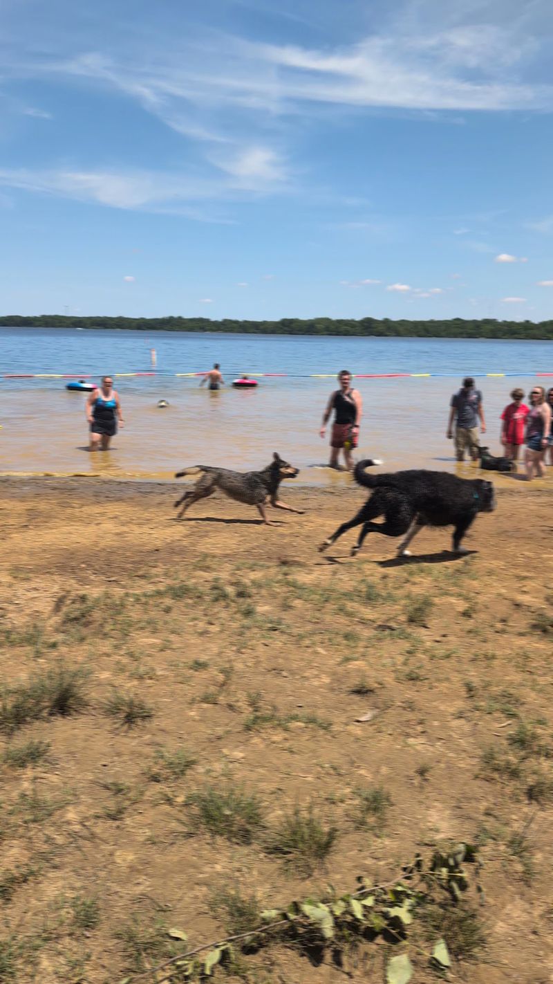 Alum Creek Dog Park Water Areas - Lewis Center