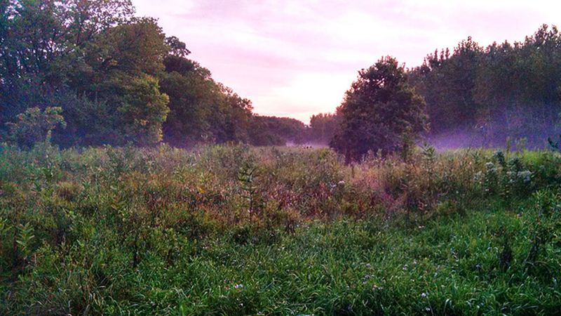 Lower Rock Run Preserve, Joliet