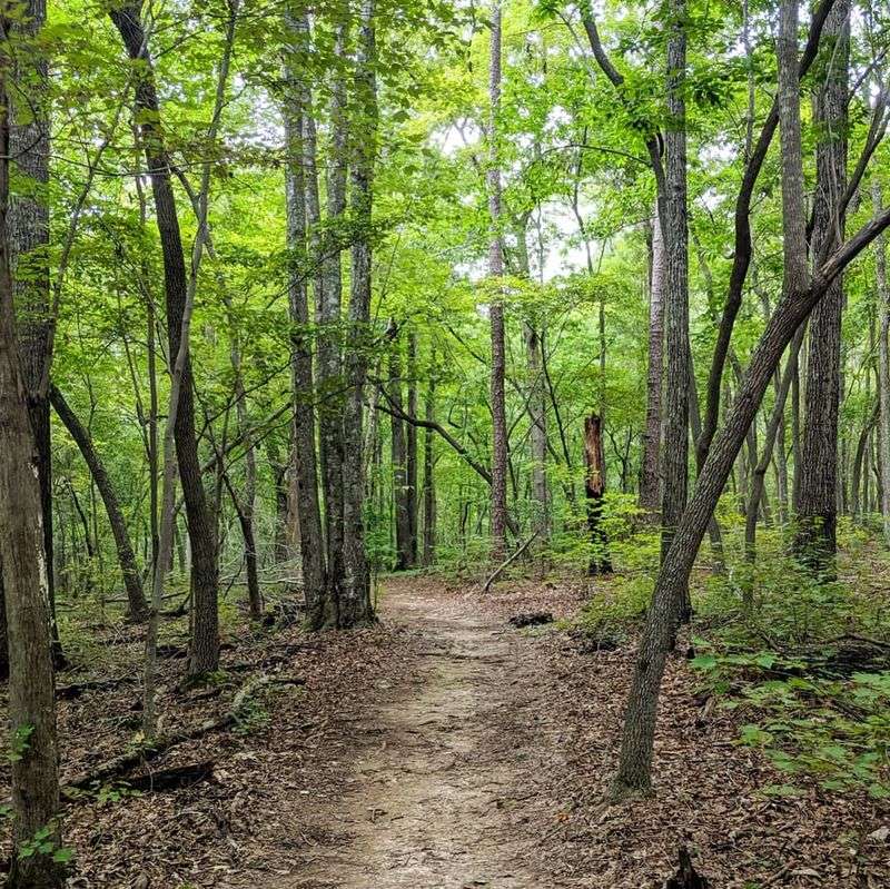 Backcountry Miles at Kings Mountain