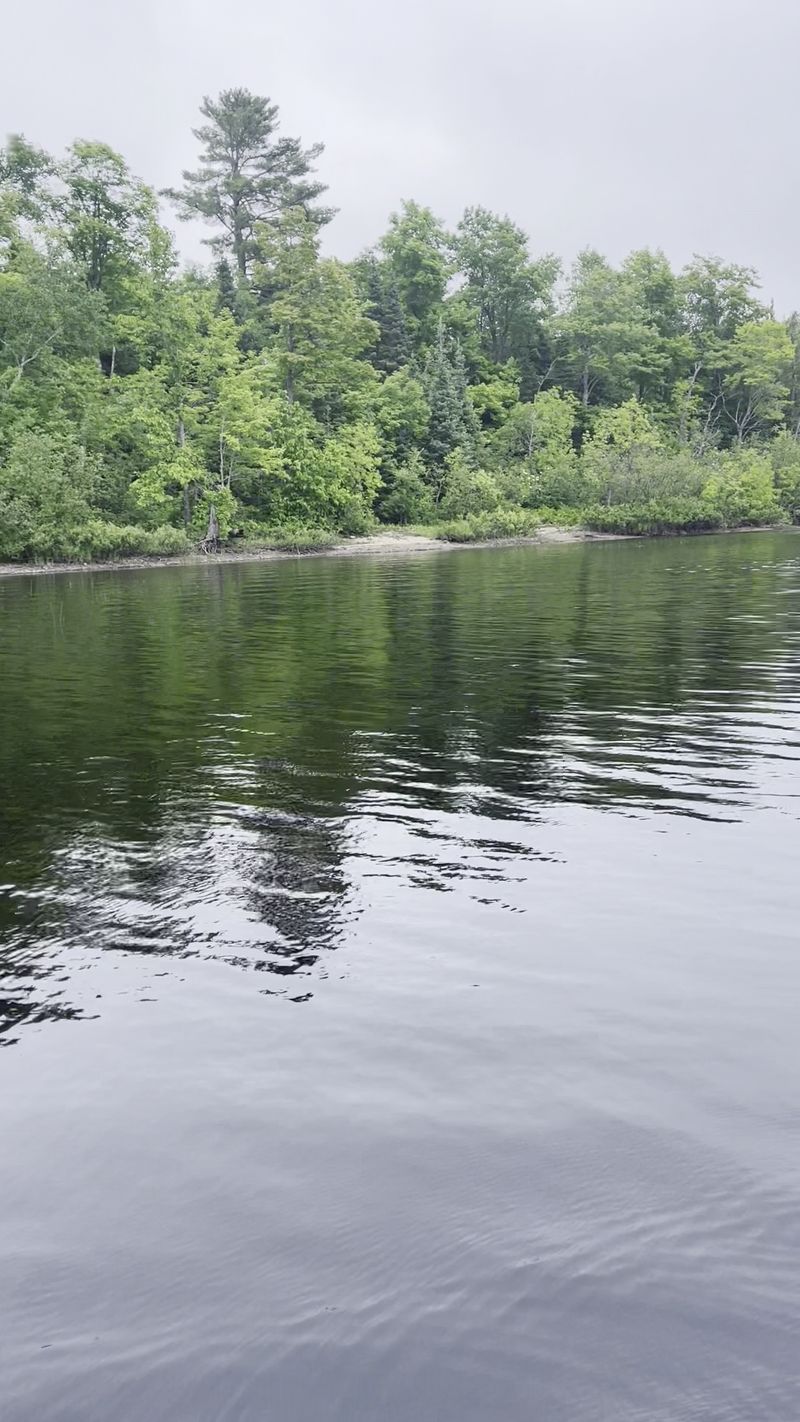 Van Riper State Park: Lake Michigamme Without the Crowds