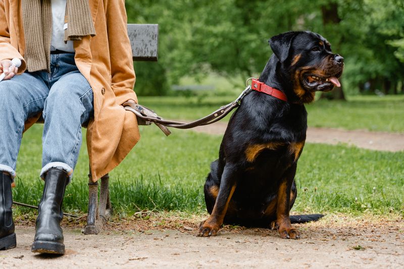 Respect Other Spring Visitors