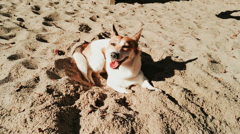 Watch For Hot Sand