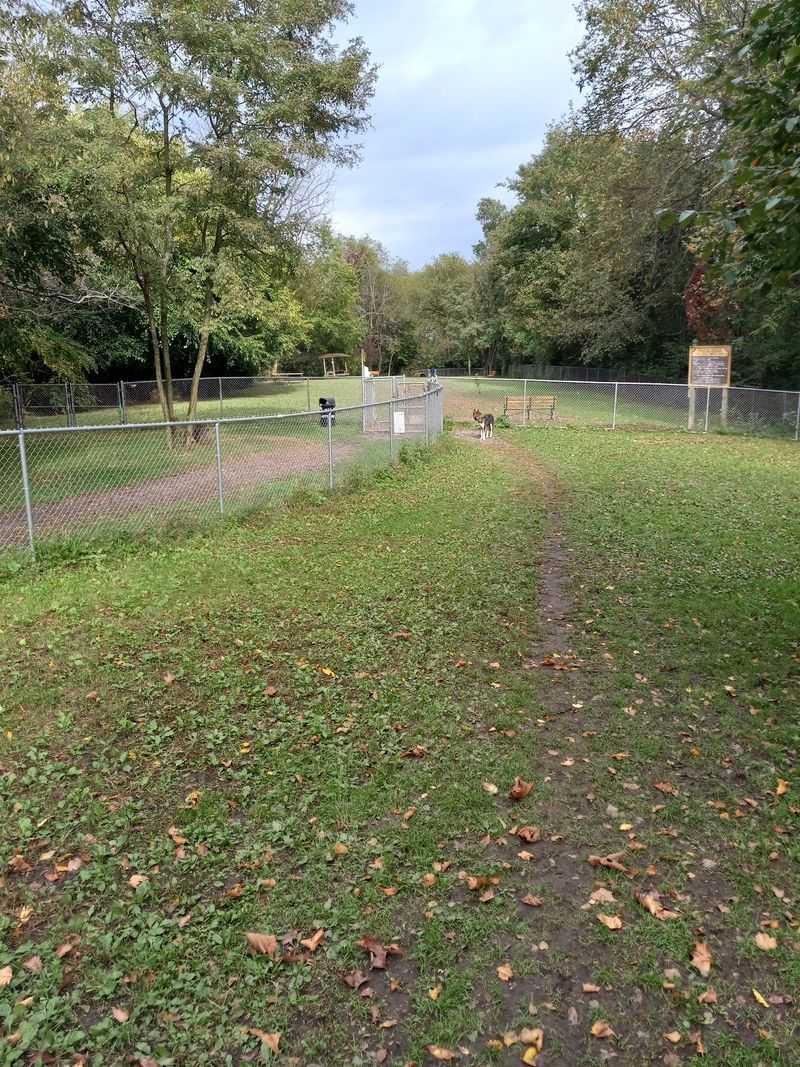 Frick Park Off-Leash Exercise Area, Pittsburgh
