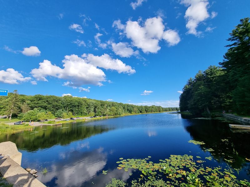 Black Moshannon State Park And Moshannon State Forest