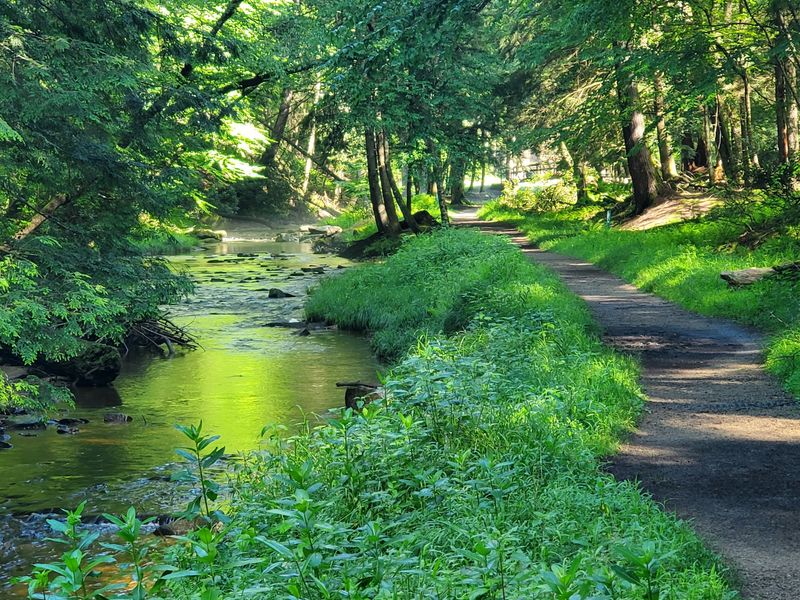 Cook Forest State Park, Cooksburg