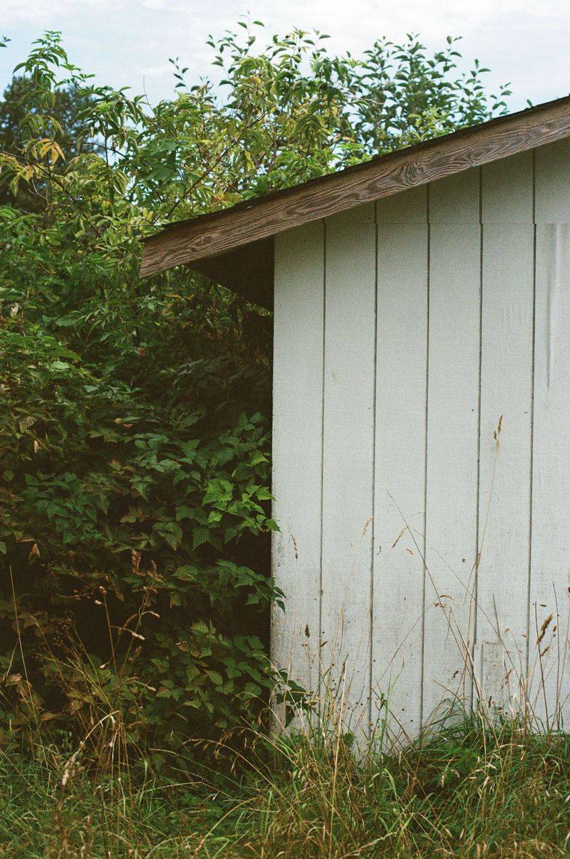 Trim Thick Brush and Close Spaces Beneath Sheds and Porches