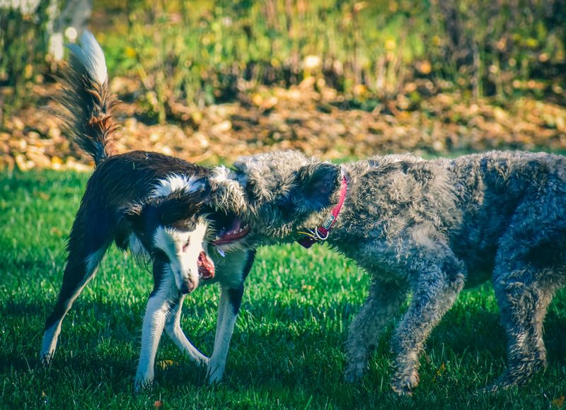 Prior Aggressive Behavior Can Strengthen Your Case